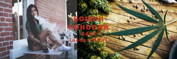 гашик Гусиноозёрск