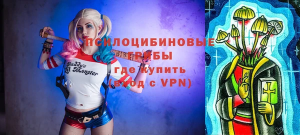 jwh Гусь-Хрустальный