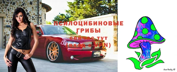 jwh Гусь-Хрустальный