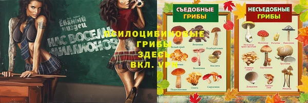 jwh Гусь-Хрустальный